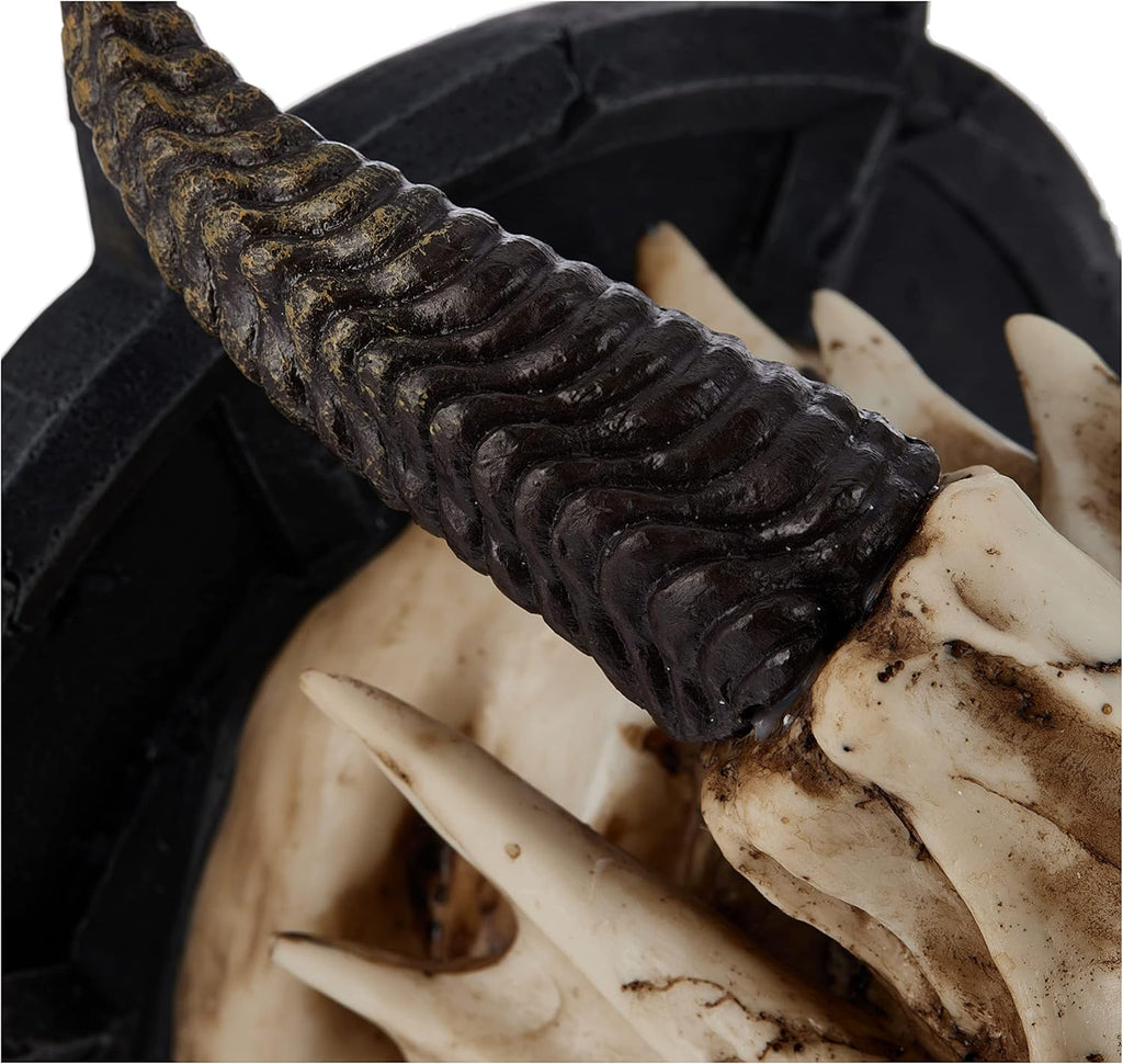 Horned Dragon Skull Wall Trophy F4516