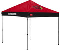 9X9 Tailgate Canopy L3226