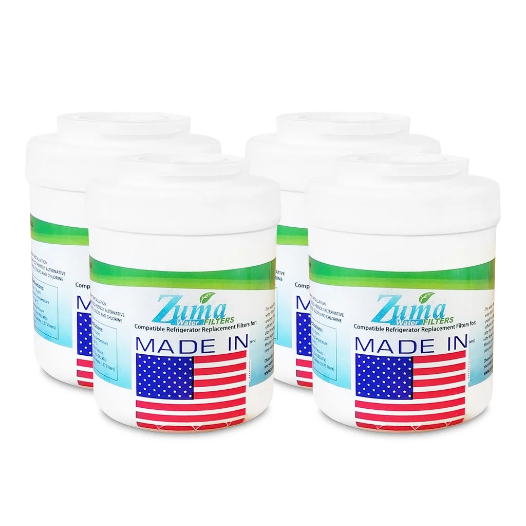 Water and Ice Filter 4 Pack C1535