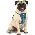 Dog Harness Q69530
