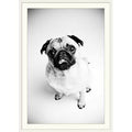Photographic Print White Frame 26x22 H x 20x22 W x 1x22 D D458455