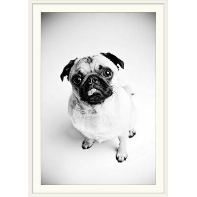 Photographic Print White Frame 26x22 H x 20x22 W x 1x22 D D458455