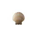 Scallop Shell Wall Sconce E484041