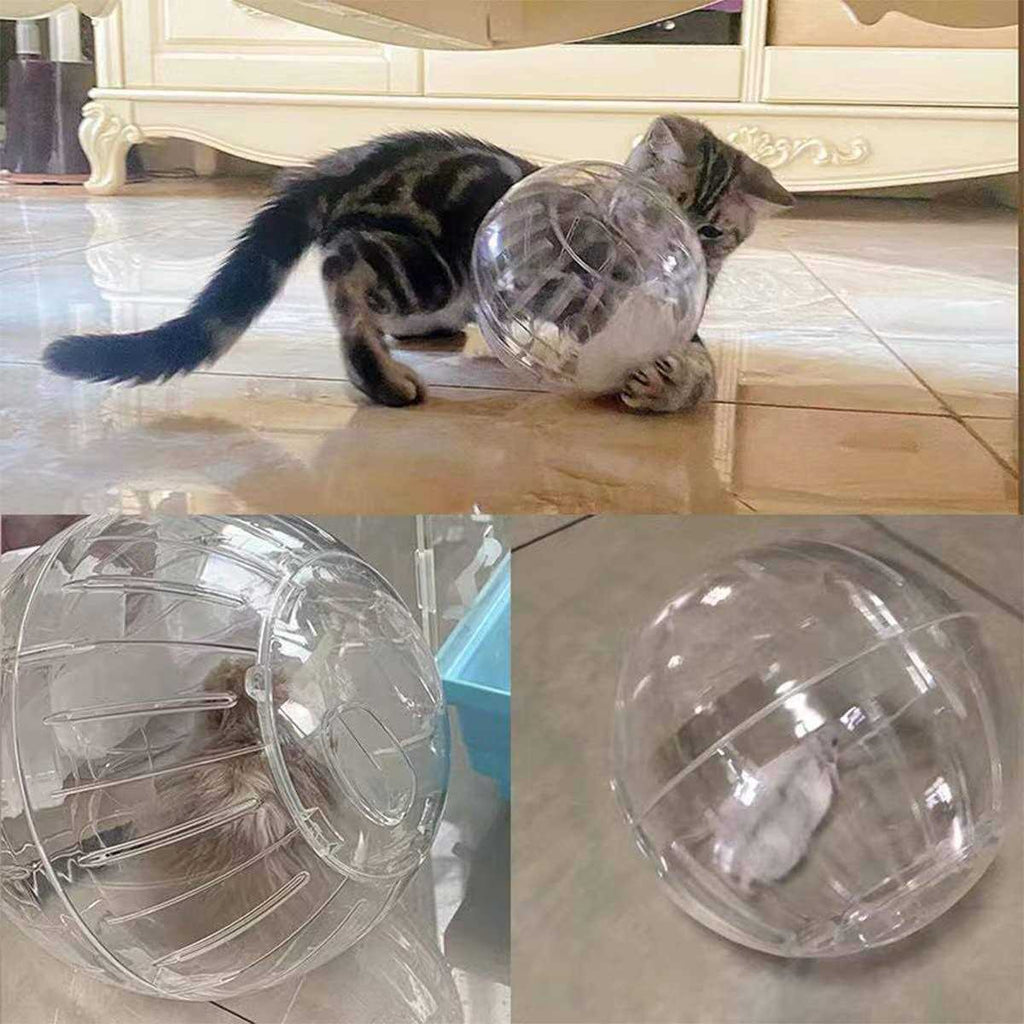 Hamster Exercise Ball Transparent P481