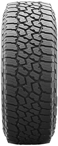 245/65R17 111T All Season Radial Tire F3789