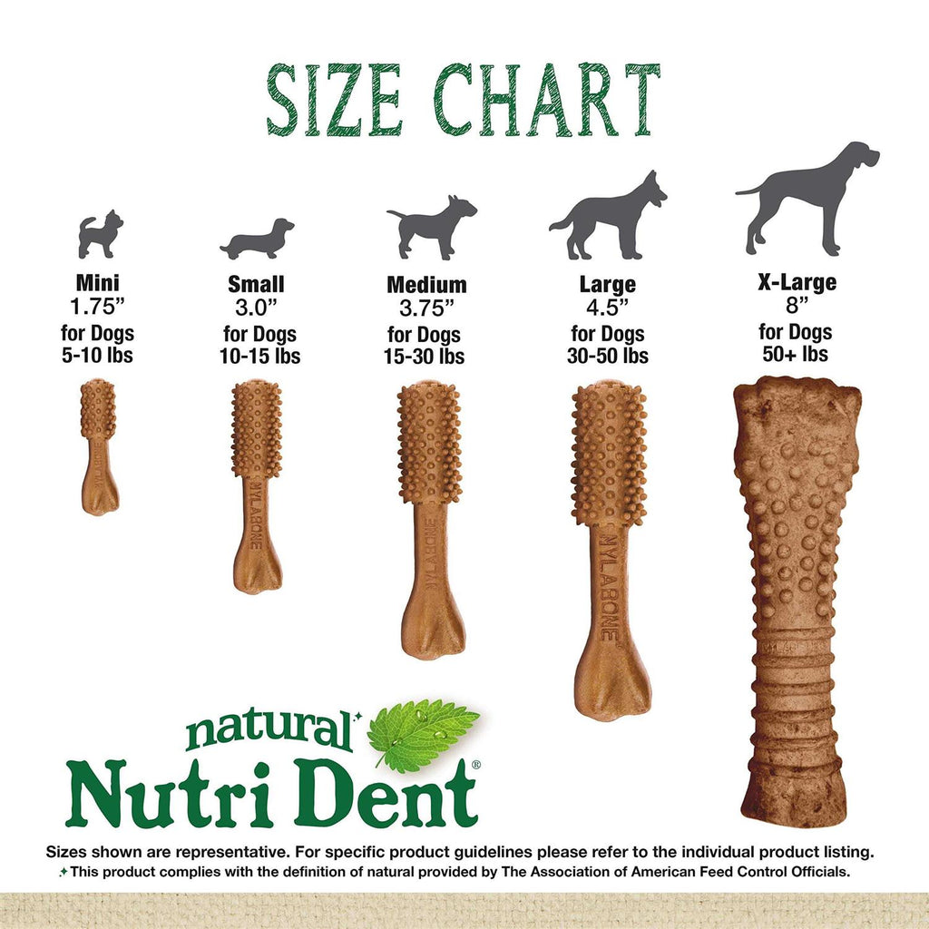 Filet Mignon Flavored Dog Dental Chews K4013