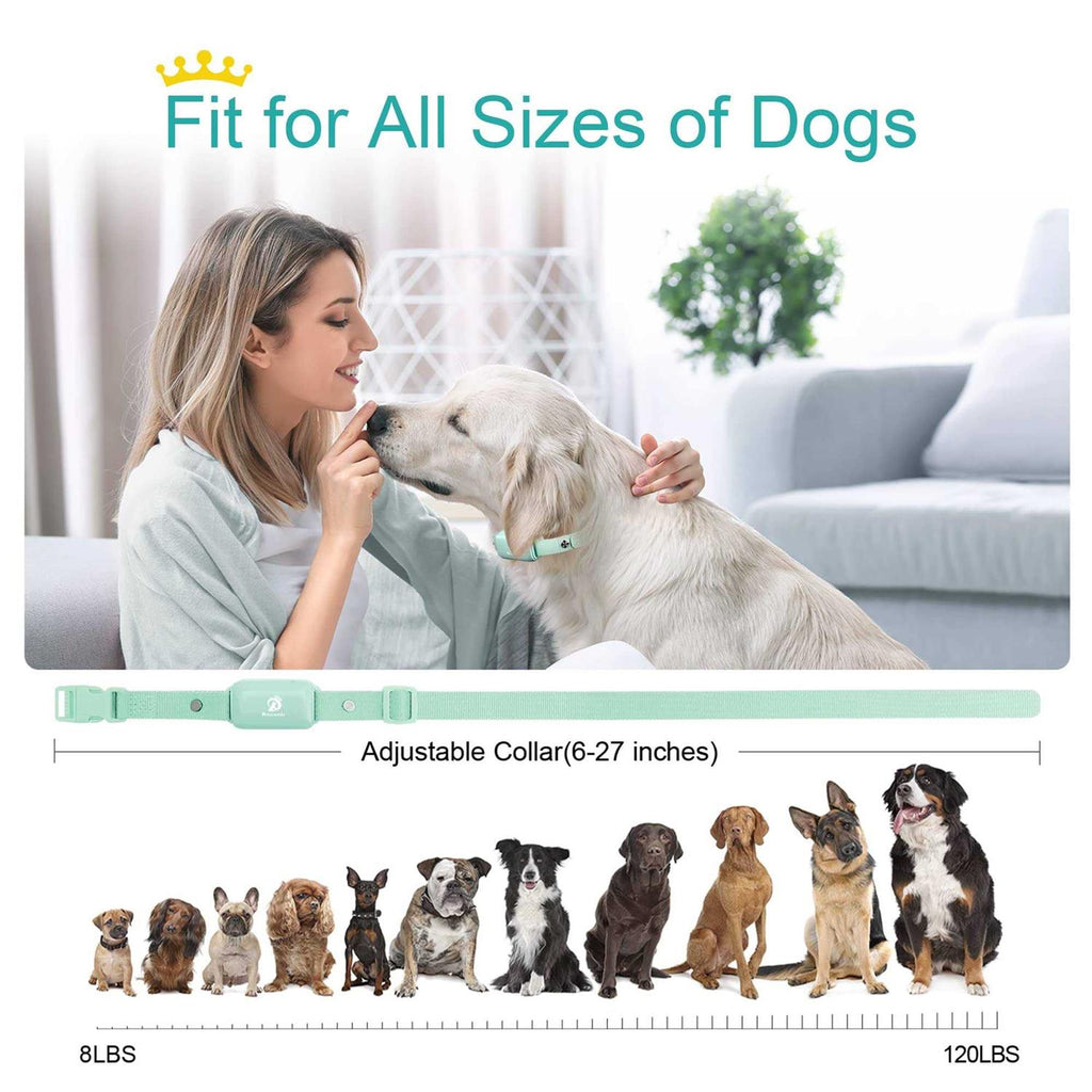 Waterproof Rechargeable Electric Dog Training Collar with Remote E99364