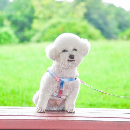 Pink-Purple Gradient Step in Dog Harness with Leash B83900