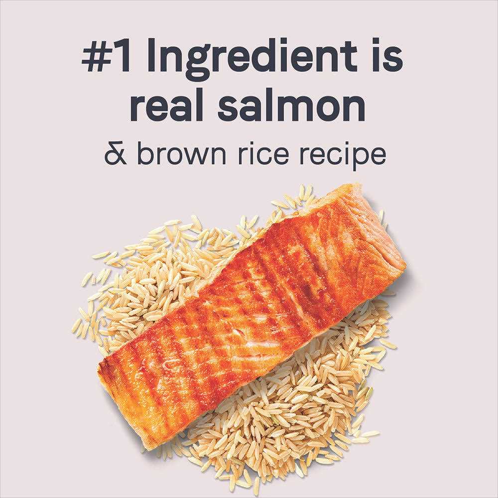 Salmon & Brown Rice Dry Dog Food C35090