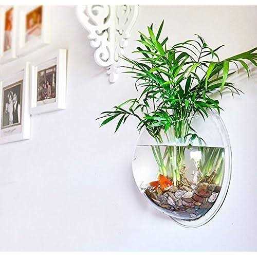 Wall-Hanging Acrylic Fish Bowl 1 Gallon U7548