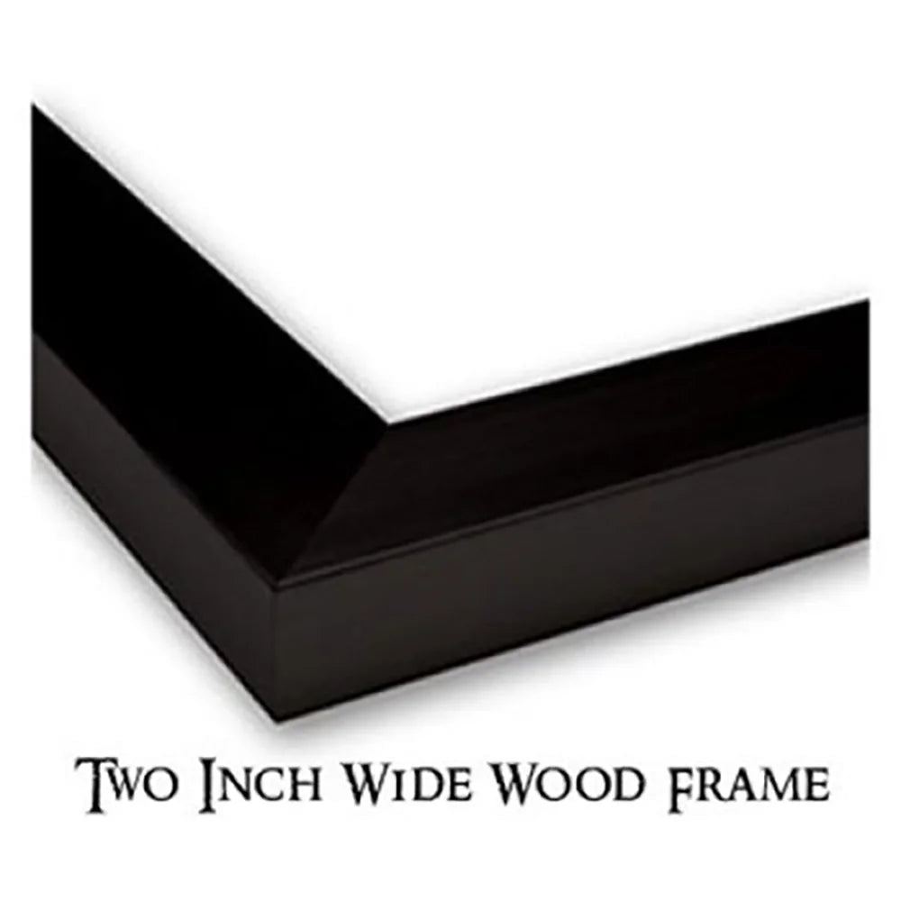 Black Framed Museum Art Print N54634