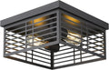 Black 2-Light Flush Mount Ceiling Light D911451