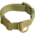 Standard Dog Collar I3672