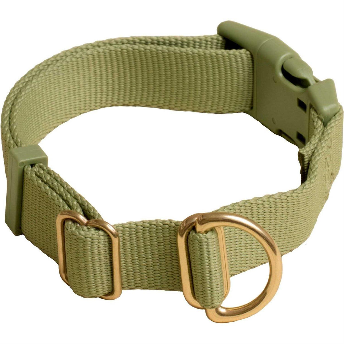 Standard Dog Collar I3672