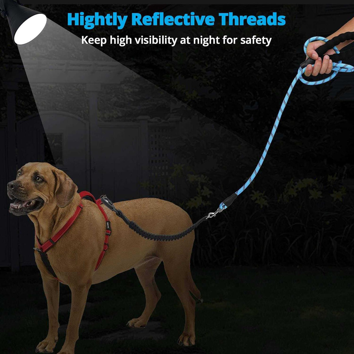 Heavy Duty Reflective Bungee Dog Leash U658