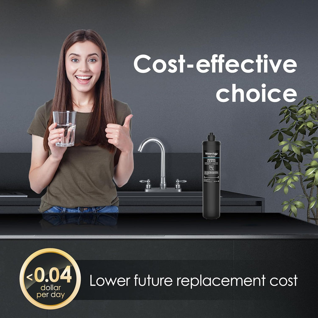 Under Sink Water Filter System and Replacement Filter Cartridge L7128