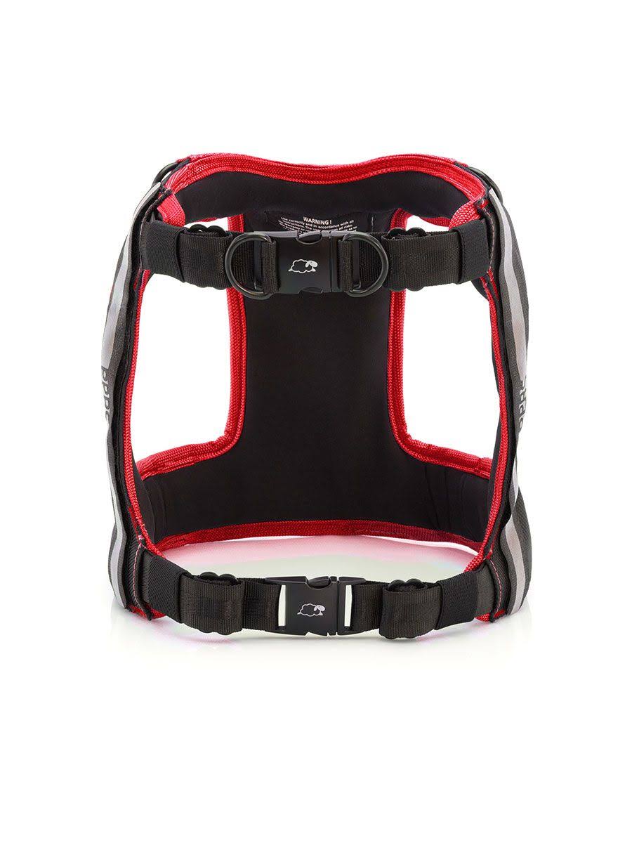 Orange Dream Safety Harness G2025
