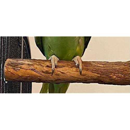 Hardwood Bird Perch A669