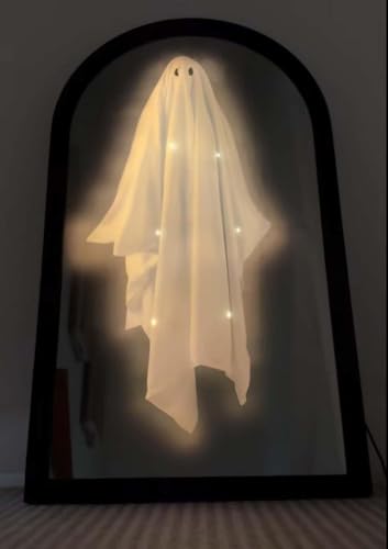 Holographic Ghost Mirror D1604