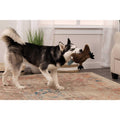 Platypus Dog Toy B494758