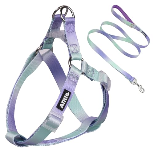 Pink-Purple Gradient Step in Dog Harness with Leash B83900