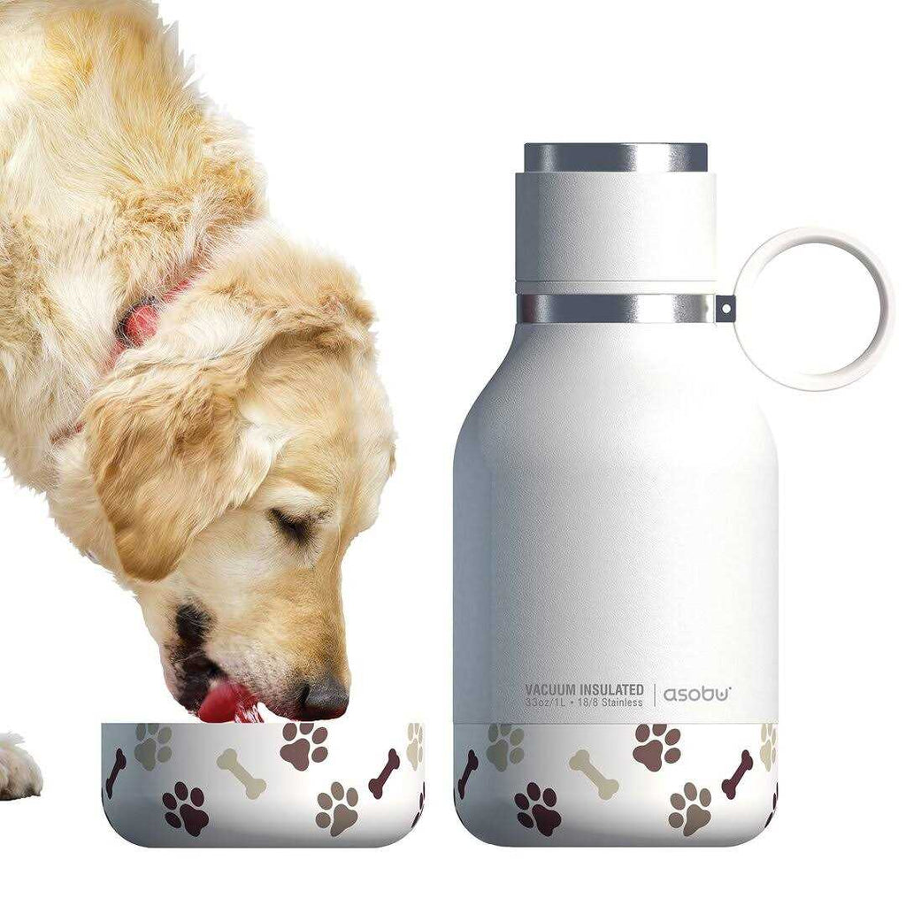 Dog Bowl Bottle I178220