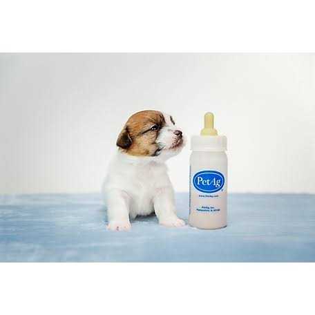 Puppy Liquid Milk Replacement V33482
