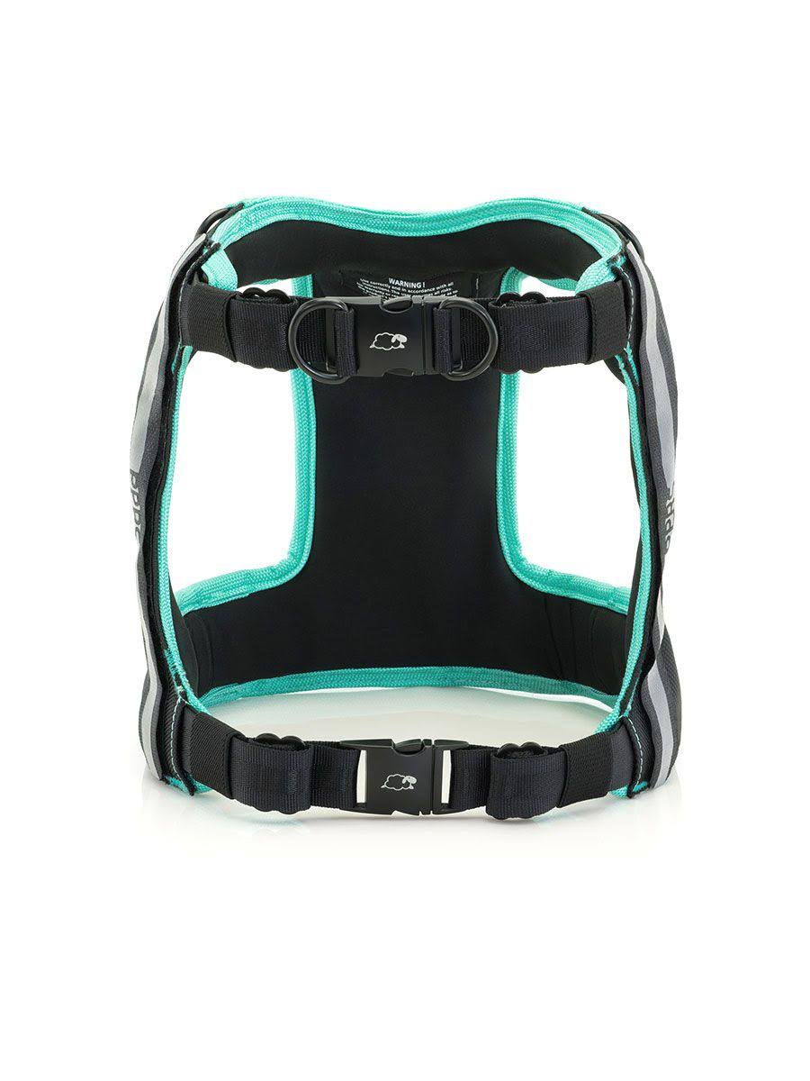 Orange Dream Safety Harness G2025