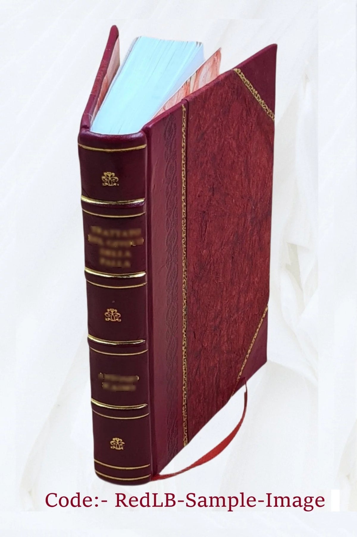 1905 Leather Bound S385