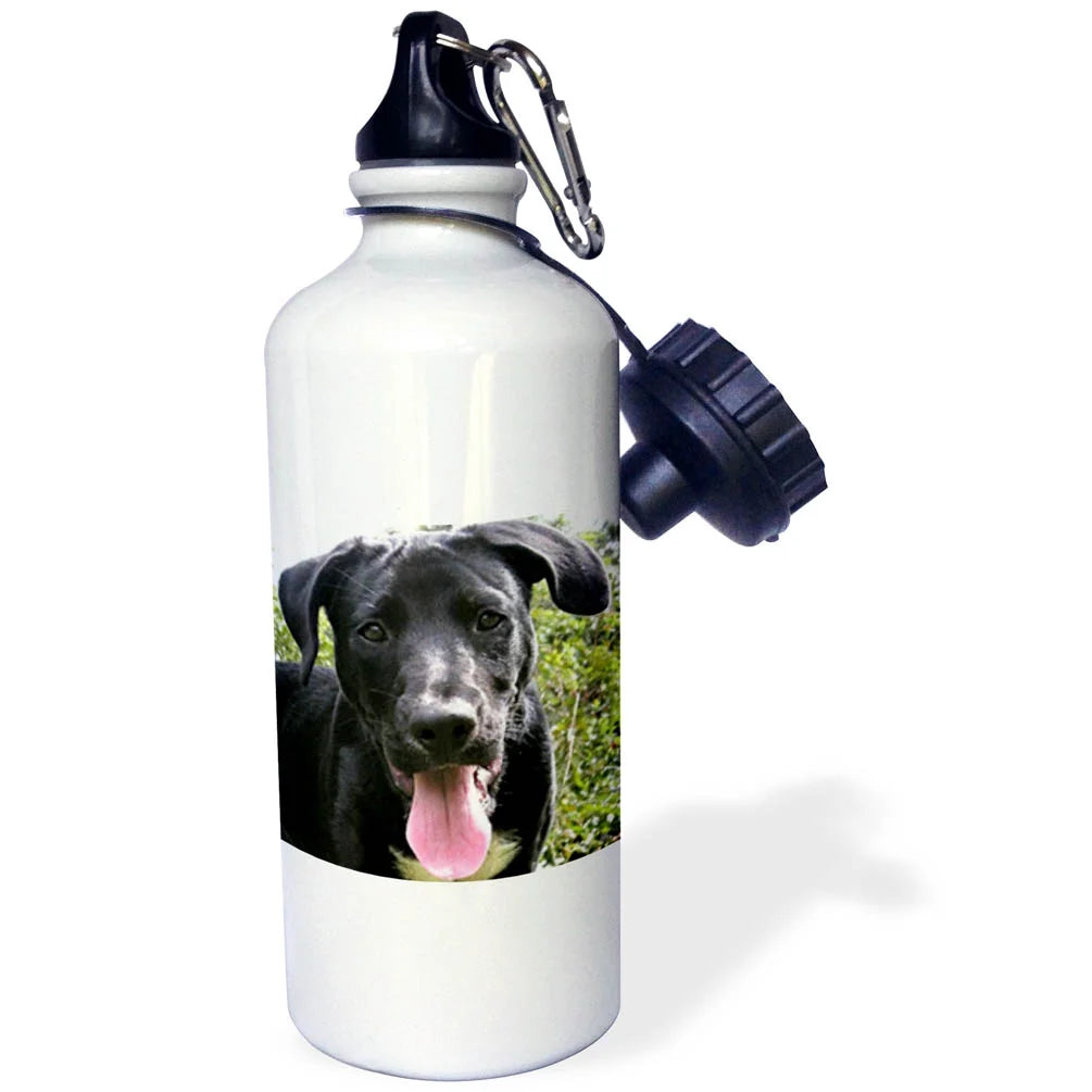 Black Labrador Puppy 21 oz Sports Water Bottle U111451