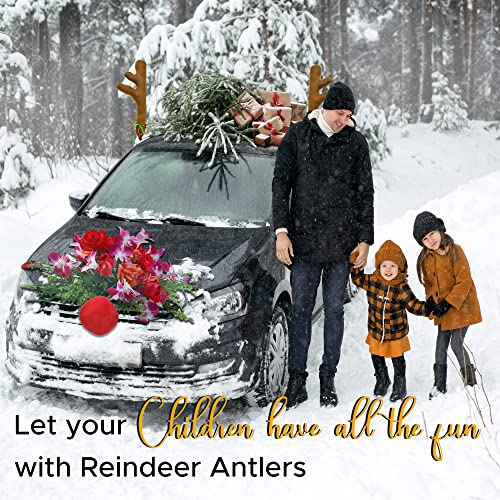 Car Reindeer Antlers & Nose Christmas Decoration Kit T4853