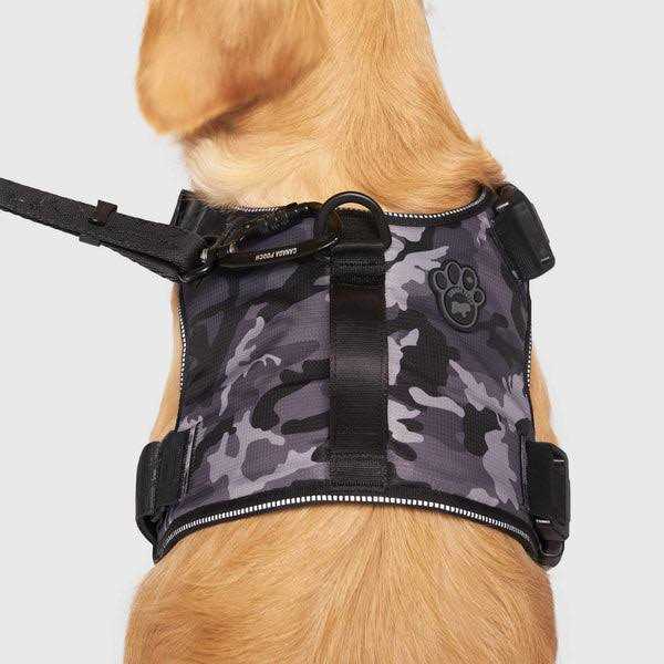 Complete Control Dog Harness J779758