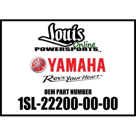 Shock Absorber Assembly L5970