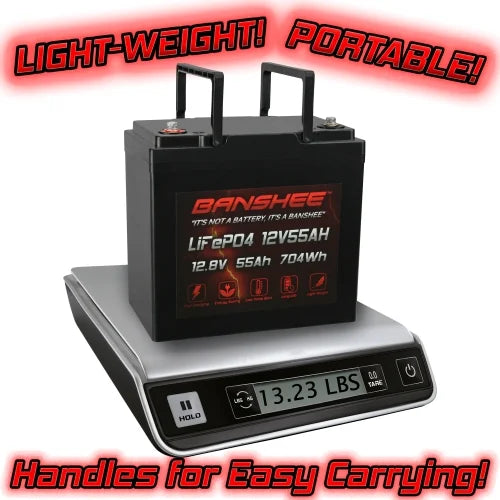 12V 55AH Lithium LiFePO4 Deep Cycle Battery - 2 Pack L192770