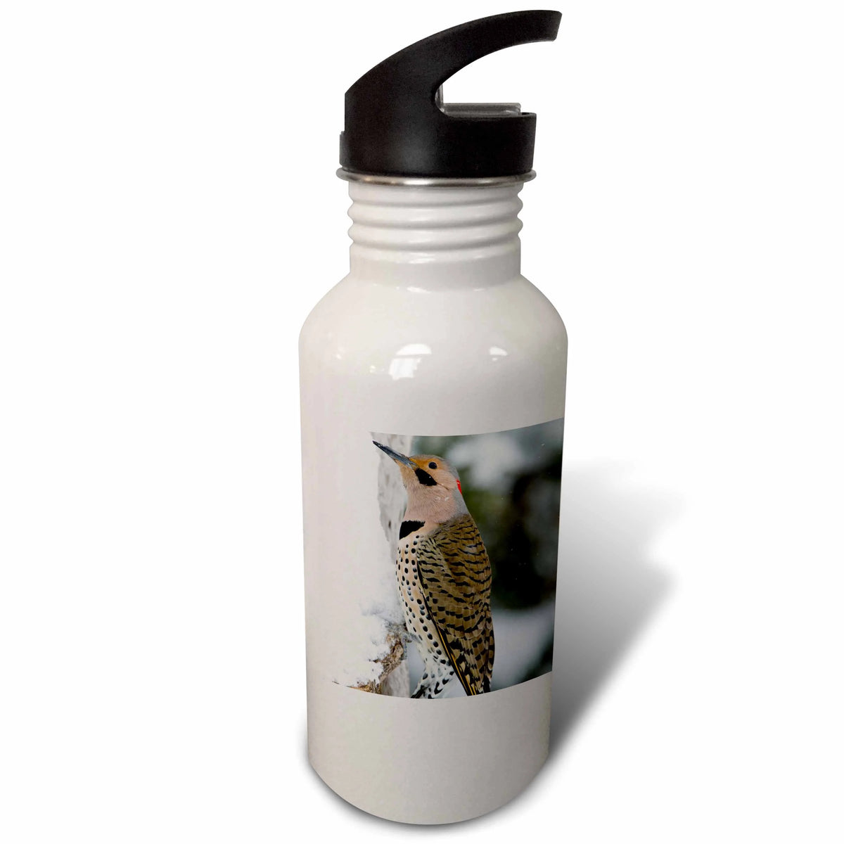 21 oz Sports Water Bottle N45606