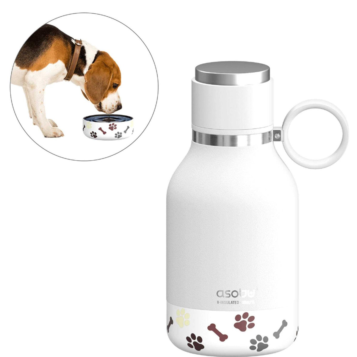 Dog Bowl Bottle I178220
