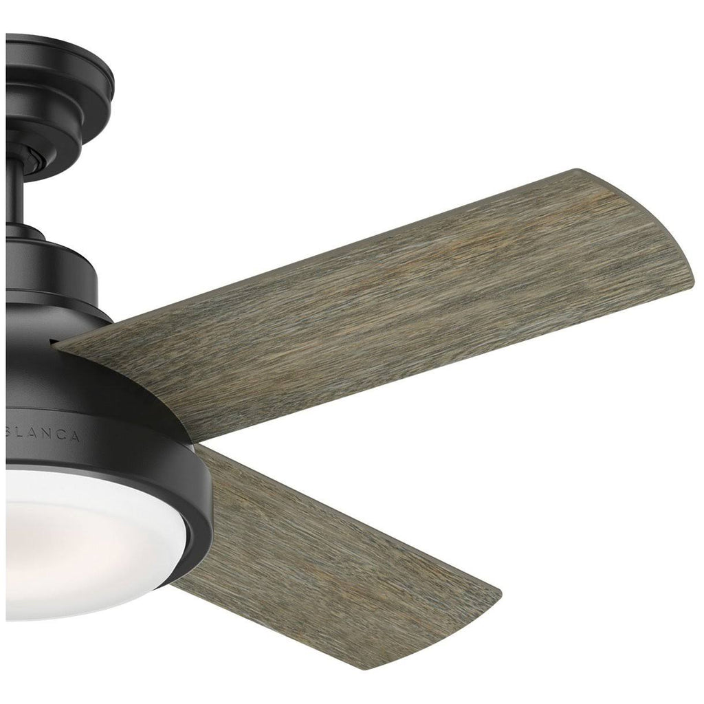 Matte Black LED Ceiling Fan G74581