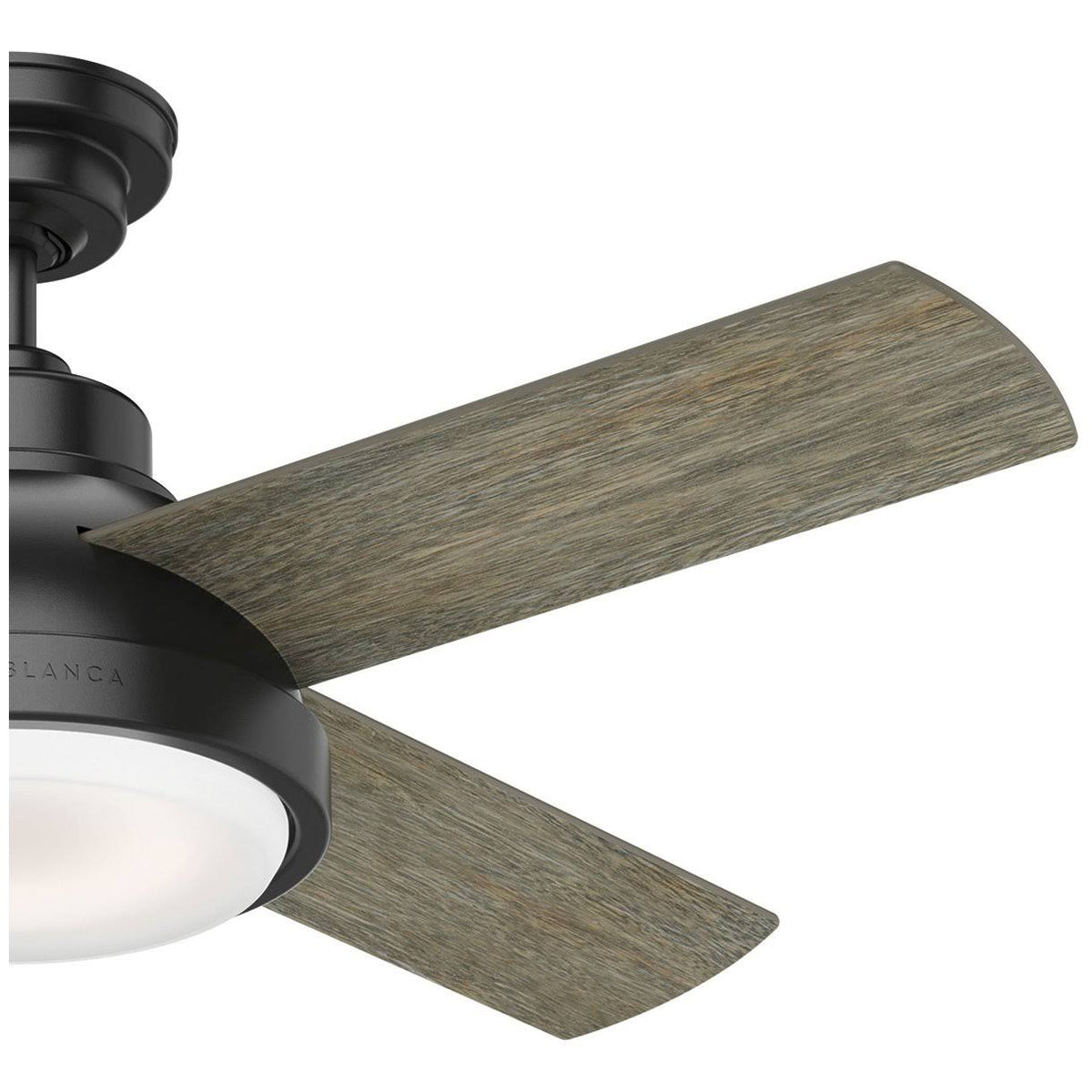 Matte Black LED Ceiling Fan G74581