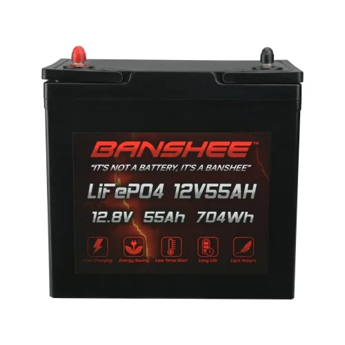 12V 55AH Lithium LiFePO4 Deep Cycle Battery - 2 Pack L192770