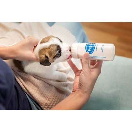 Puppy Liquid Milk Replacement V33482