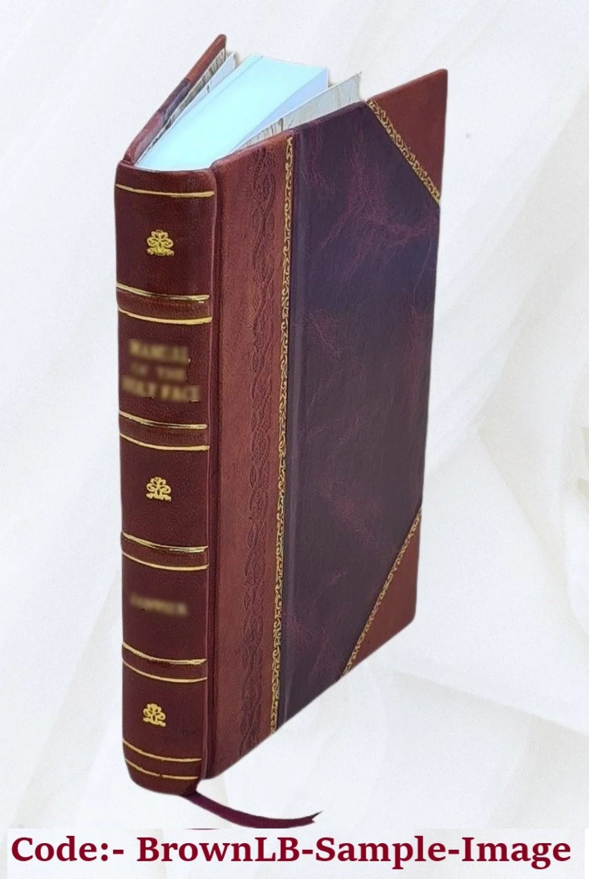 1905 Leather Bound S385