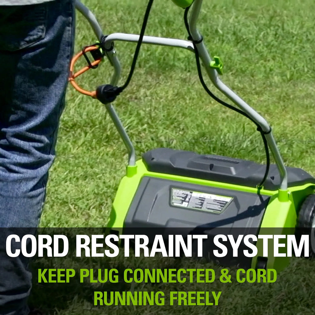 14 in. 10 Amp Corded Electric Dethatcher L290