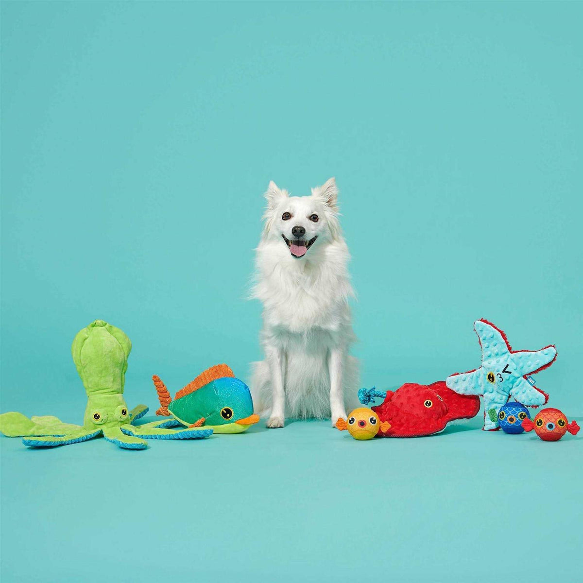 Sting Crosby the Ray Dog Toy Y947218