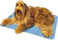 Dog Cooling Mat Pack of 2 C936123