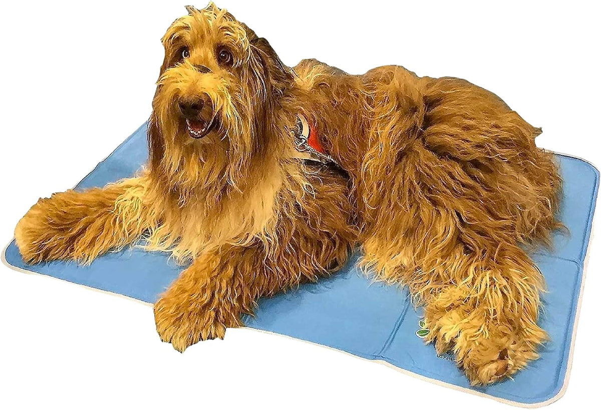 Dog Cooling Mat Pack of 2 C936123