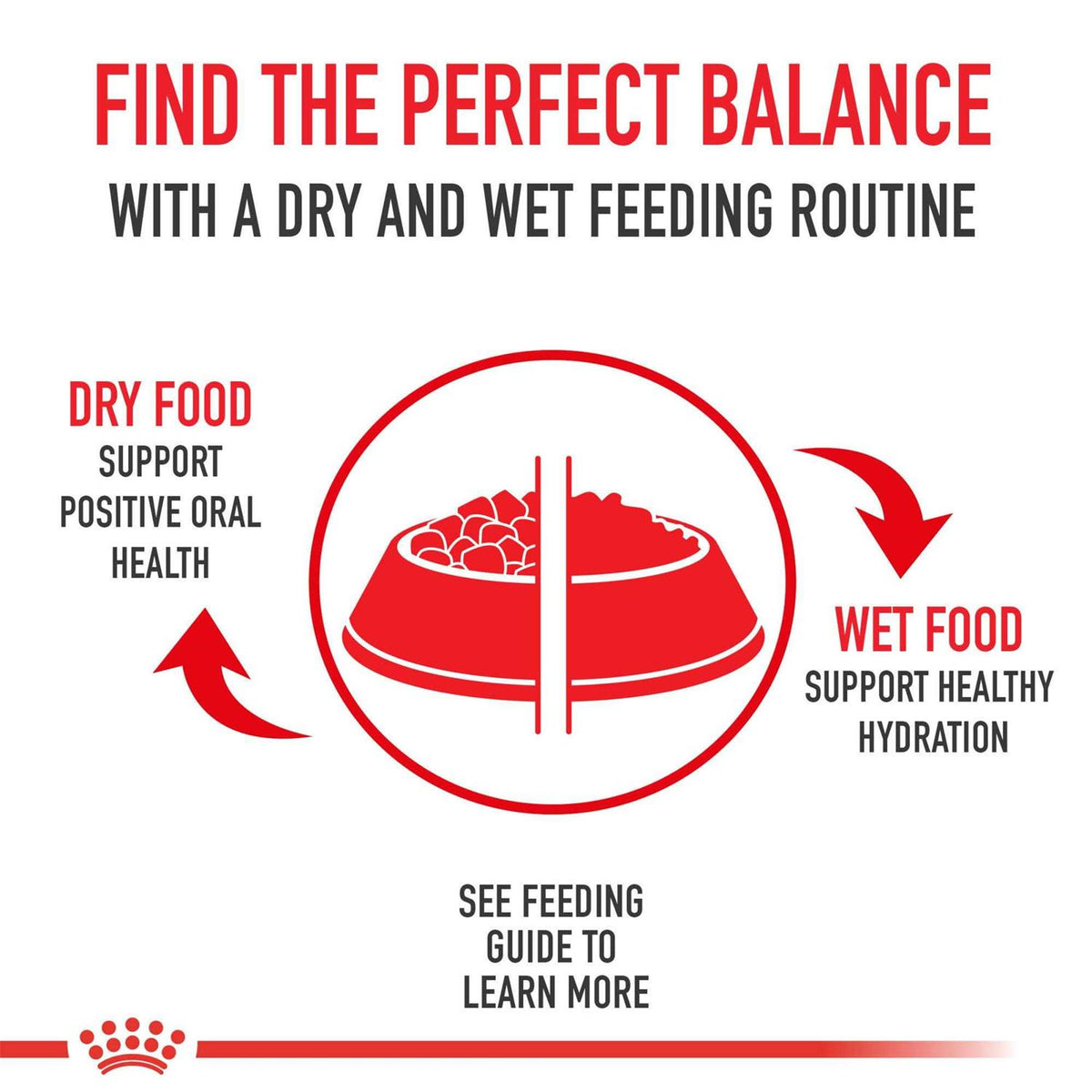 Thin Slices in Gravy Wet Cat Food Z4449