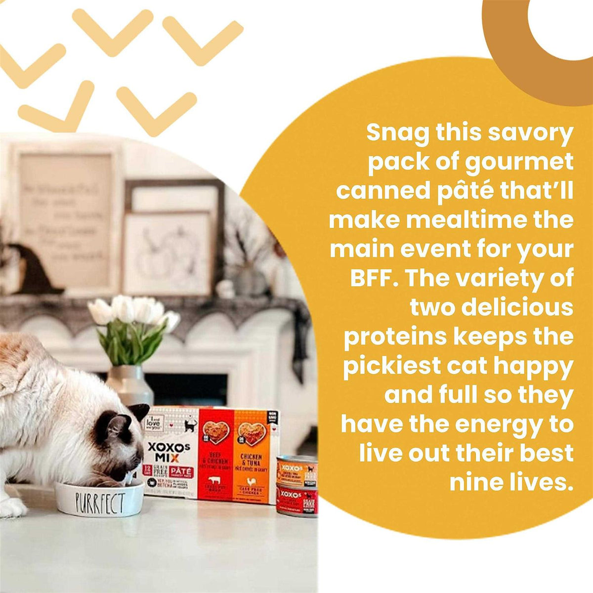 Tuna Pate Cat Food L57533