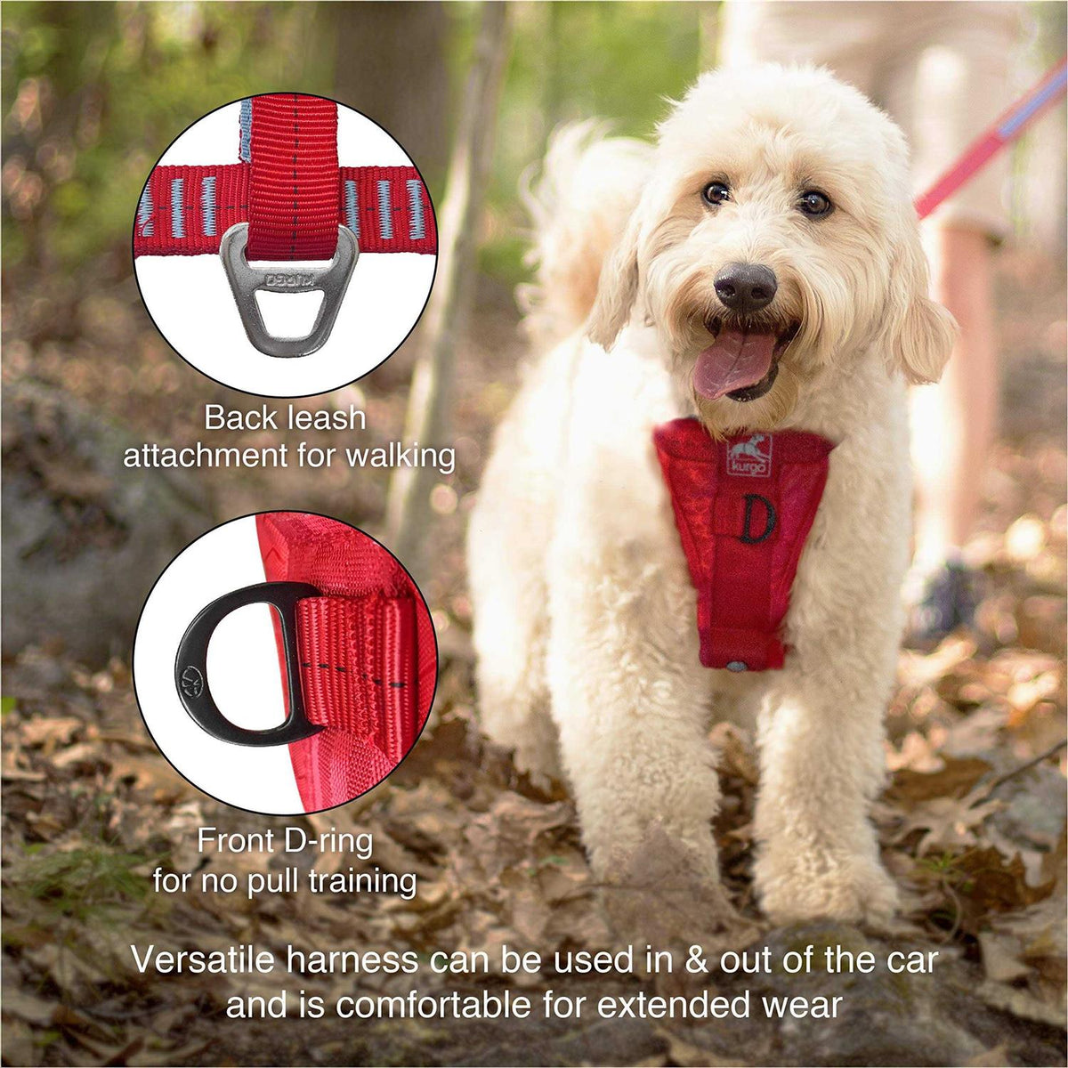 Dog Harness Q69530