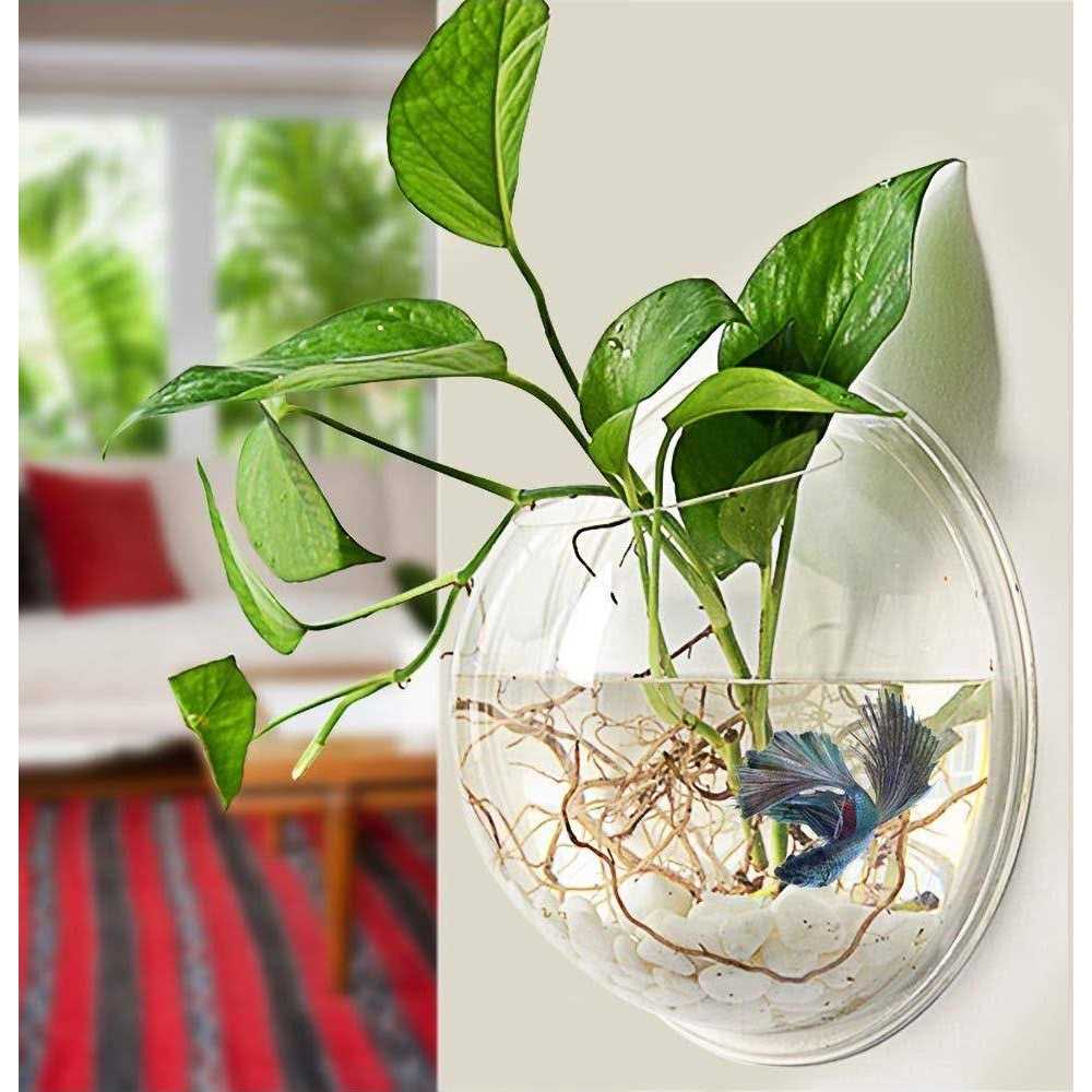 Wall-Hanging Acrylic Fish Bowl 1 Gallon U7548