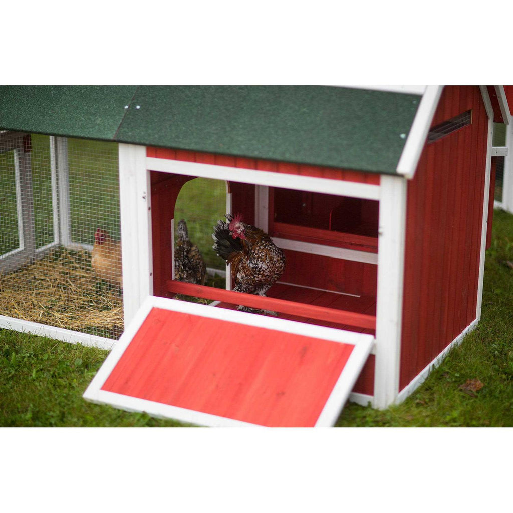 Red Barn Chicken Coop G9804